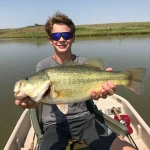 Meet your Posher, Lane